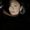 Photo of Andrea V.