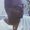Photo of J M.