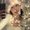Photo of Tatyanna A.