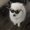 Photo of Jack P.