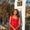 Photo of Jadyn B.