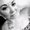 Photo of Dorene D.