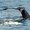 Photo of Christine M.