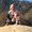 Photo of Nathalie L.