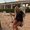 Photo of Briana S.