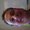 Photo of Kelly M.