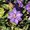 Photo of Loree N.