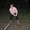 Photo of Emilie, H.