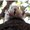 Photo of Squirrel W.