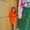 Photo of Sheena E.