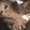 Photo of Dalia D.