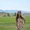 Photo of Nataliia G.