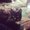 Photo of Rex12335 2.