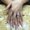 Photo of Bella Nail B.