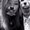 Photo of Alycia L.