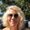 Photo of Julie L.