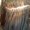 Photo of Lachelle J.