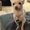 Photo of Donskies p.