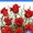 Photo of Rose Petals F.