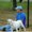 Photo of Ron S.