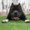 Photo of Doe B.
