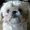 Photo of Donna C.
