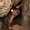 Photo of Vanessa A.