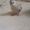 Photo of Cinthya H.