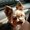Photo of Eamon M.