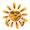 Photo of Sunburst E.
