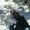 Photo of Sharan B.