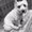 Photo of Seamus P.