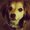 Photo of Sparx S.