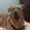 Photo of Cyndy S.
