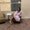 Photo of Natondra P.