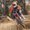 Photo of Harley S.
