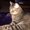Photo of Roxi C.