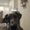 Photo of Baylee S.