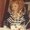 Photo of Marilyn B.