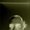 Photo of Michael M.