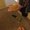 Photo of LightingGamer 5.