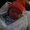 Photo of Moises P.