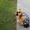 Photo of Laima G.
