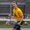 Photo of Ethan H.