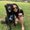 Photo of Jayme R.