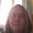 Photo of Christy H.
