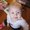 Photo of Stephenie S.