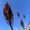 Photo of Andrew L.