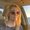 Photo of Marissa B.
