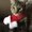 Photo of Eileen C.